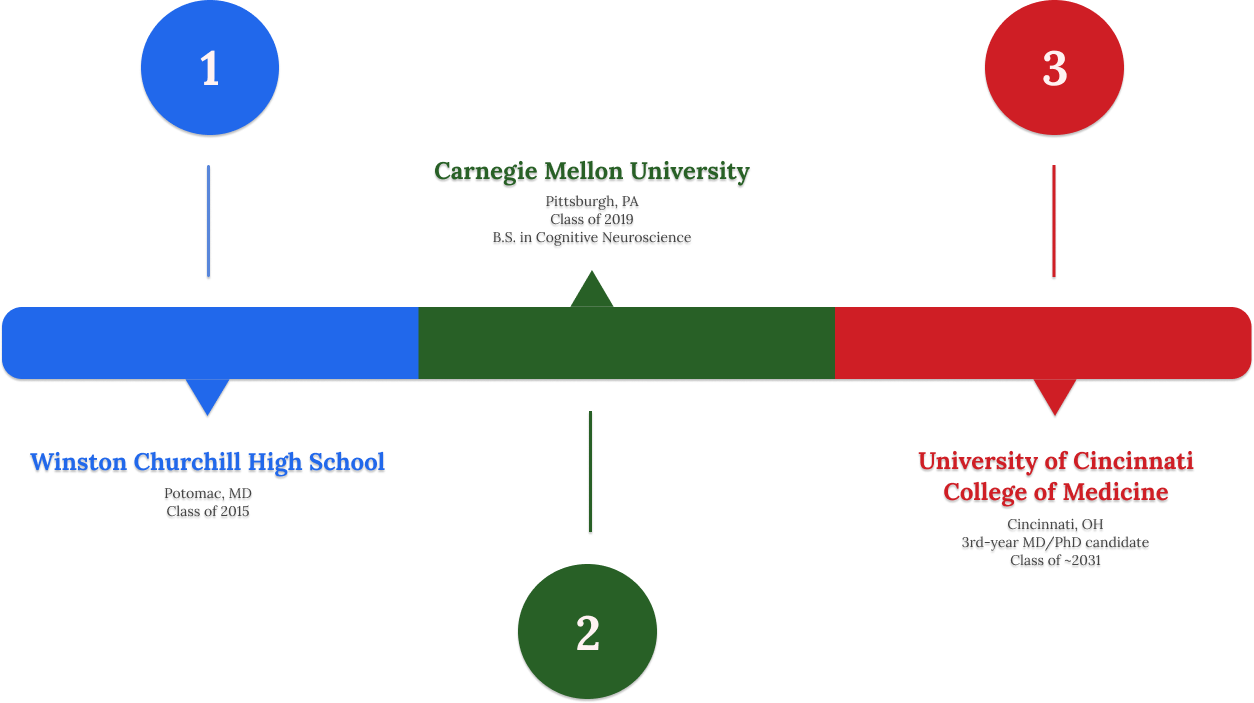 Education Timeline