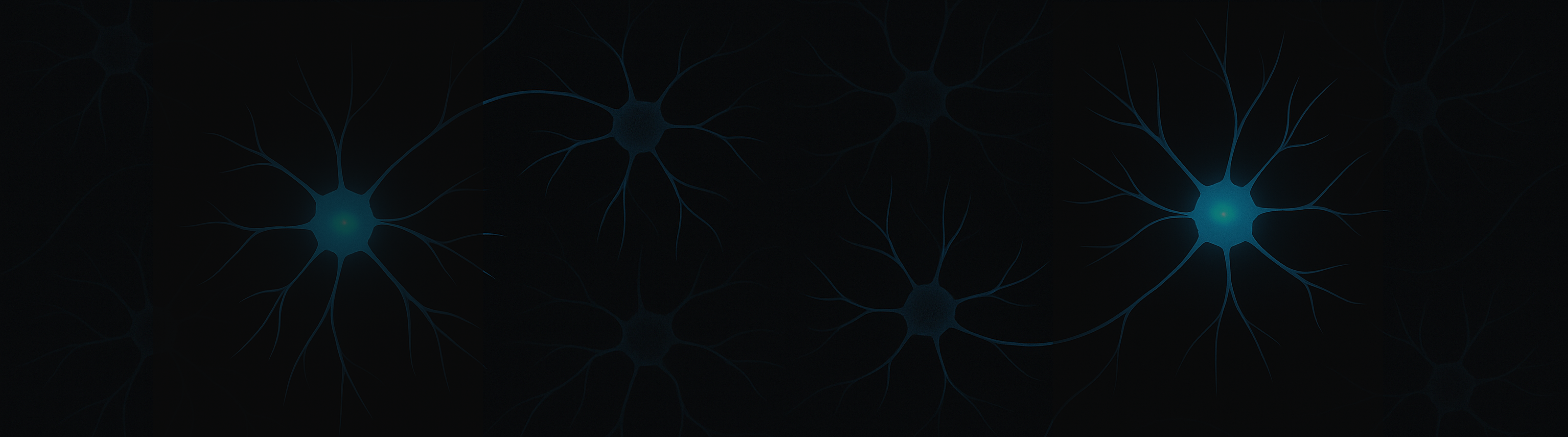 Website Banner